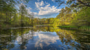 Peaceful Lake with Reflections of Lush Green Forest