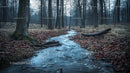 Serene Woodland Stream Flowing Through Autumn Forest