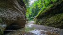 Lush Green Canyon with Serene Stream and Mossy Cliffs
