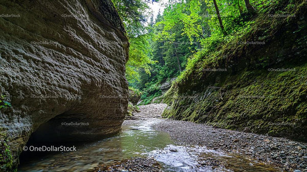 Lush Green Canyon with Serene Stream and Mossy Cliffs