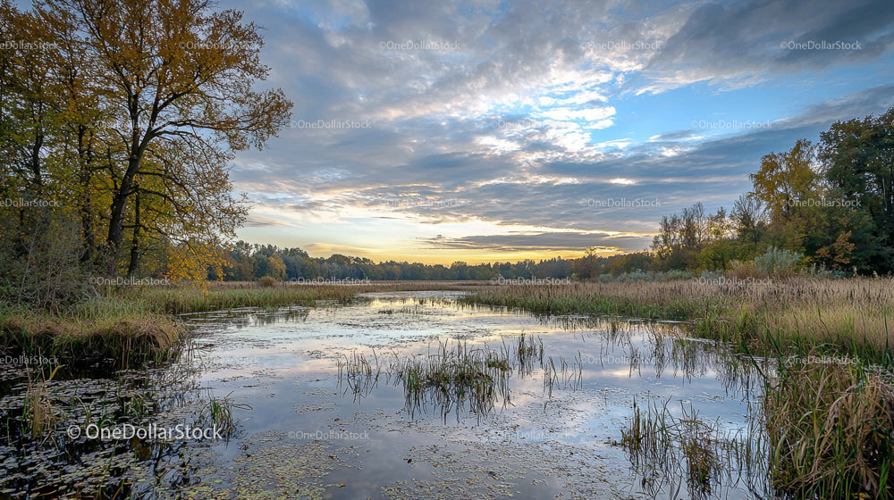 Tranquil Autumn Pond with Clouds and Reflective Waters
