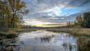 Tranquil Autumn Pond with Clouds and Reflective Waters