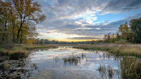 Tranquil Autumn Pond with Clouds and Reflective Waters