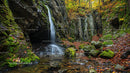 Serene Waterfall and Autumn Foliage in a Lush Forest Setting