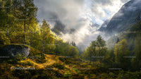 Misty Mountain Valley at Sunrise with Lush Greenery