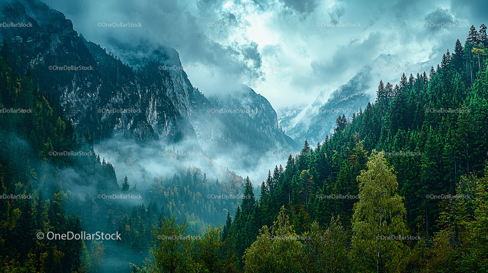Misty Mountains and Evergreen Forest under Cloudy Skies
