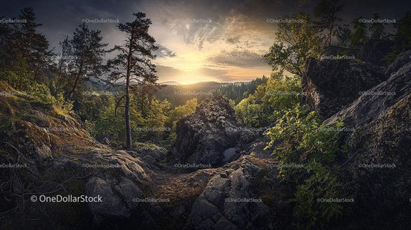 Dramatic Sunset Over Rocky Forest Landscape