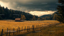 Rustic Cabin in a Golden Autumn Meadow Under Dramatic Skies