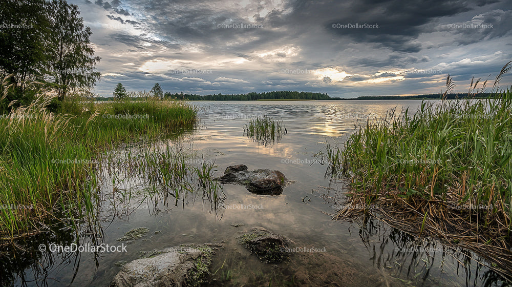 Serene Lake Landscape with Overcast Sky and Reeds