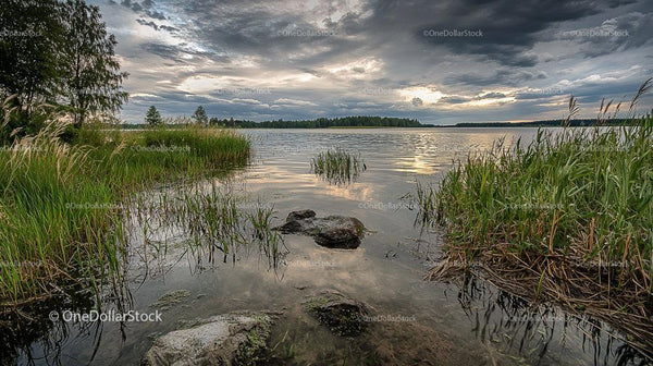 Serene Lake Landscape with Overcast Sky and Reeds