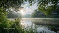 Tranquil Sunrise over Misty Lake with Lush Greenery