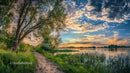 Tranquil Lakeside Sunset with Lush Greenery and Pathway