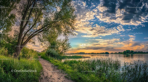 Tranquil Lakeside Sunset with Lush Greenery and Pathway