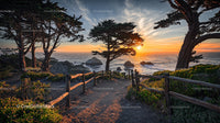 Sunset Over Rocky Ocean Shore with Silhouetted Trees