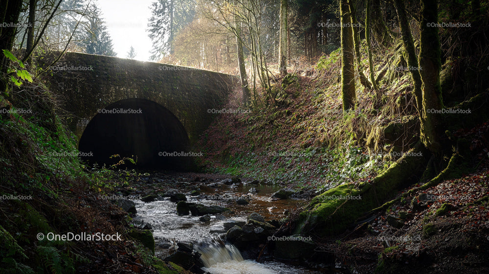 Sunlit Forest Stream Flowing Under Ancient Stone Bridge