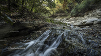 Serene Forest Stream with Cascading Waterfall in Autumn