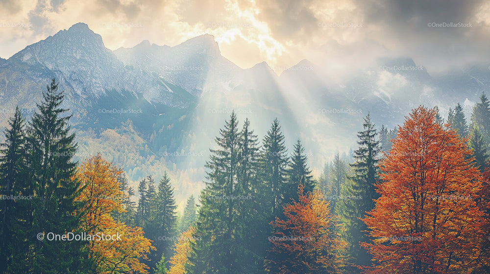 Sunlit Autumn Forest with Majestic Mountain Backdrop