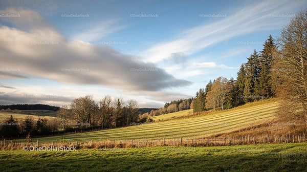Rolling Hills and Scenic Landscape under Cloudy Blue Sky