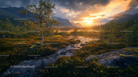 Serene Mountain Landscape at Sunset with Vibrant Foliage