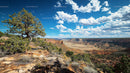 Stunning Desert Canyon Under Vibrant Blue Sky