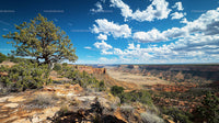 Stunning Desert Canyon Under Vibrant Blue Sky