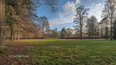 Serene Winter Park with Bare Trees and Green Meadow