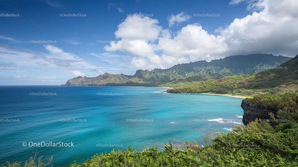 Breathtaking View of Turquoise Hawaiian Coastline