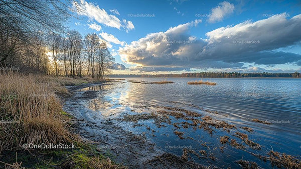 Tranquil Lake Shore with Dramatic Clouds and Calm Waters