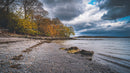 Rocky Beach with Autumn Trees and Stormy Sky