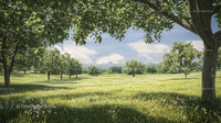 Tranquil Green Meadow with Lush Trees Under Blue Sky