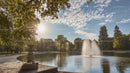 Sunny Park with Fountain and Lush Greenery on a Tranquil Day