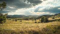 Scenic Meadow Landscape with Dramatic Sky and Rolling Hills