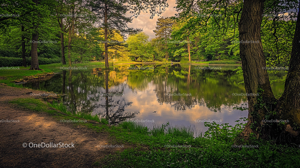 Bujny zielony park z odbijającym się jeziorem o zachodzie słońca