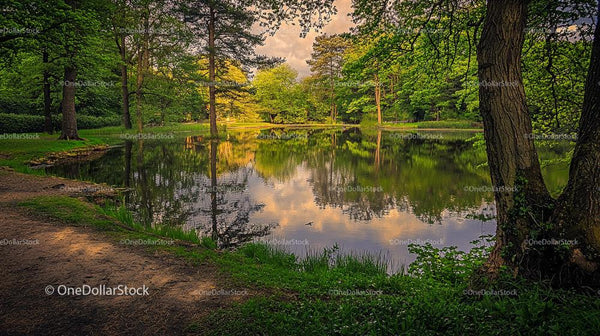 Lush Green Park with Reflective Lake at Sunset
