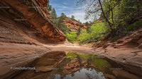 Desert Canyon with Reflective Pool and Lush Greenery
