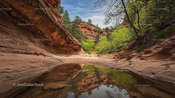 Desert Canyon with Reflective Pool and Lush Greenery