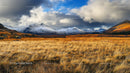 Snow-Capped Mountains and Golden Grassland Under Dramatic Sky