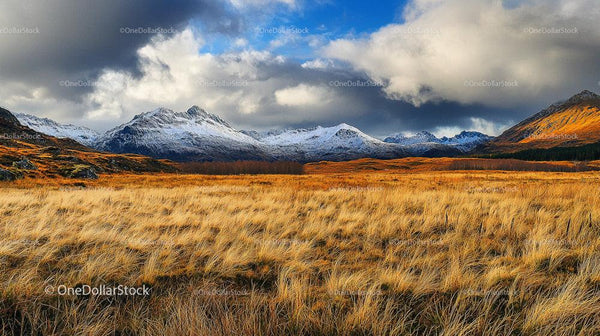 Snow-Capped Mountains and Golden Grassland Under Dramatic Sky