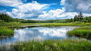 Serene Lake with Reflective Waters and Lush Green Forest