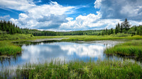 Serene Lake with Reflective Waters and Lush Green Forest