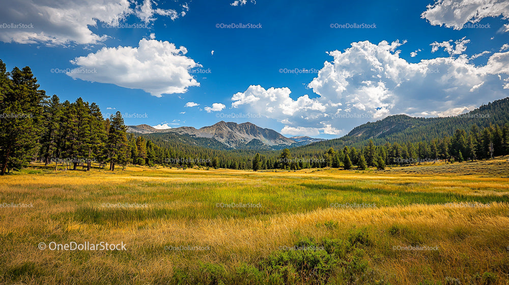 Scenic Summer Mountain View with Lush Green Meadow