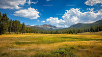 Scenic Summer Mountain View with Lush Green Meadow