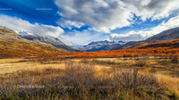 Colorful Autumn Landscape with Snow-Capped Mountain Peaks
