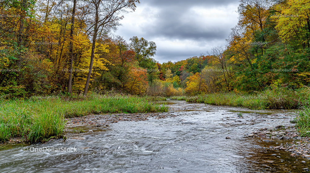Autumn River Flowing Through Vibrant Forest Scenery