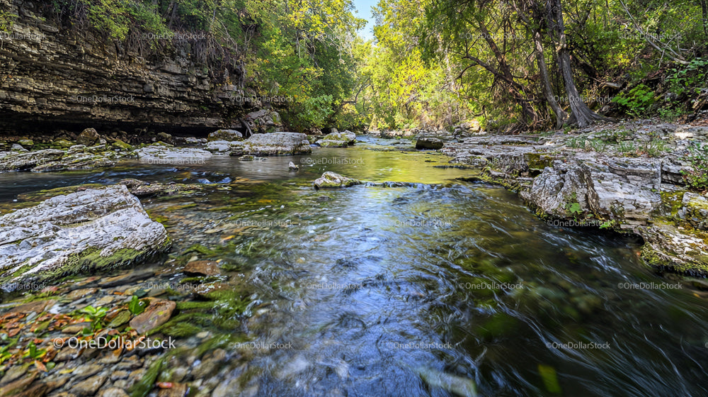 Tranquil Stream Flowing Through Lush Green Forest
