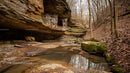 Peaceful Canyon with Stream in Autumn Forest
