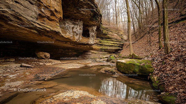 Peaceful Canyon with Stream in Autumn Forest