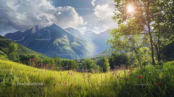 Sunlit Alpine Meadow with Majestic Mountain Range