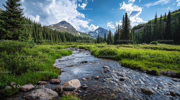 Scenic Mountain Stream with Majestic Pine Trees and Peaks