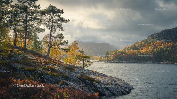 Autumnal Coastal Landscape with Pine Trees and Dramatic Sky